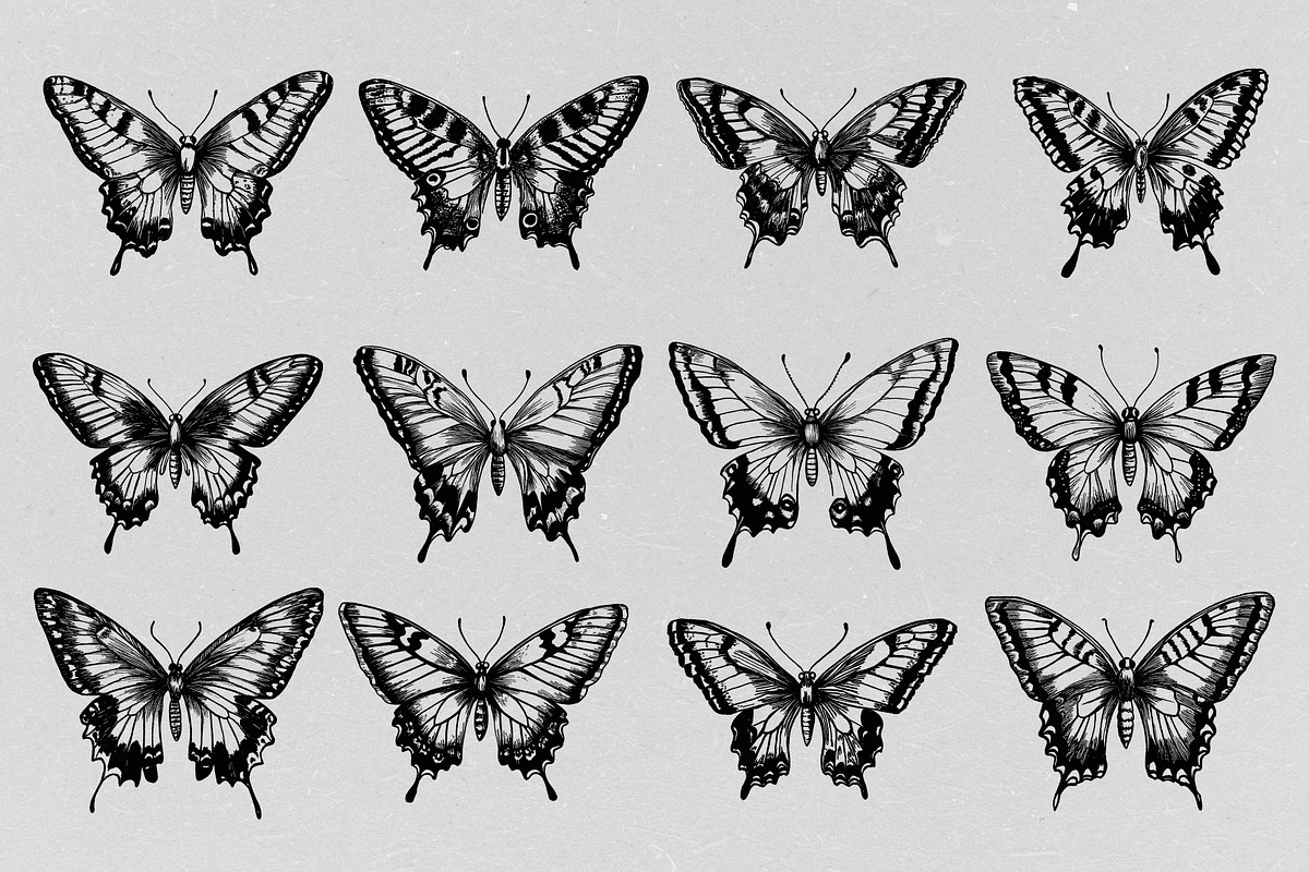 Hand Drawn Butterfly Vector, an Animal Illustration by Alternate Studio (Photo 2 of 5)