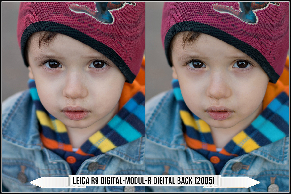 Leica Colors & Sensor Luminance, a Plug-in Add-On by Raztrend (Photo 17 of 29)