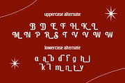 Broken Strings Retro Font, a Serif Font by Heinzel Std (Thumbnail 12 of 12)