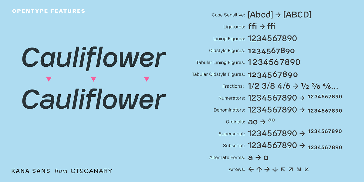 Kana Sans, a Sans Serif Font by GT&CANARY (Photo 5 of 6)
