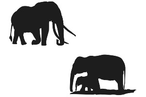 Elephant Silhouette Set 1 Procreate