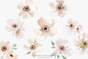 Blush floral clipart & patterns, a Decorative Illustration by Patishop Art (Thumbnail 4 of 6)