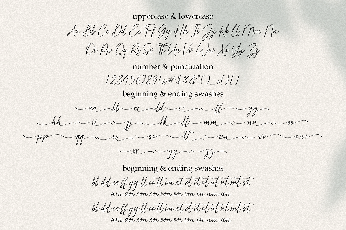 Sabioline - Modern Calligraphy, a Script Font by MJB Letters (Photo 10 of 10)