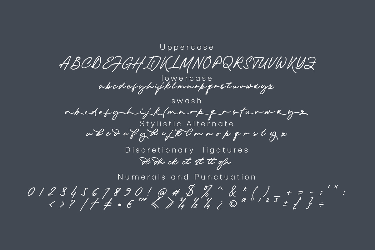 Piedmont - Masculine Signature, a Script Font by Ridha-38.lineart (Photo 12 of 13)