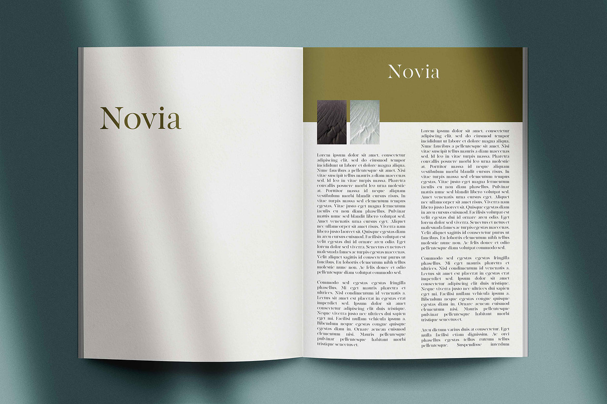 Novia Mini Magazine Mock-Up Kit, a Print Template by Eugene Tantsurin (Photo 6 of 12)