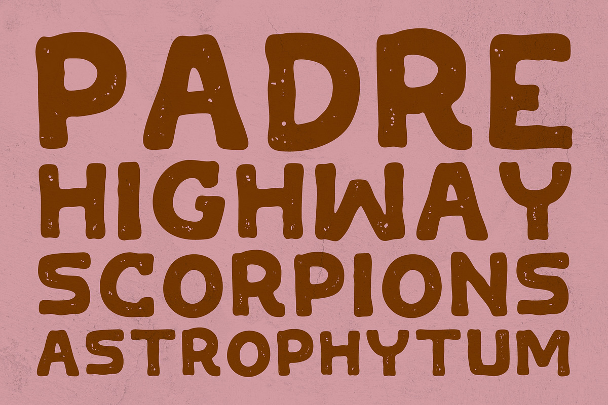 St. Mojave - Hand Drawn Font, a Handwritten Font by UppercapType (Photo 7 of 12)