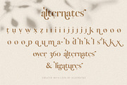 Vicky Christina Ligature Serif Font, a Serif Font by SilverStag Type Foundry (Thumbnail 25 of 25)