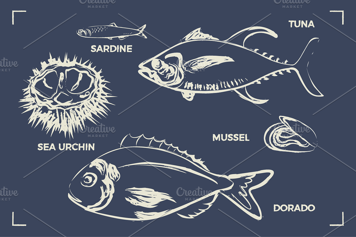 SEAFOOD (30+ illustrations), a Food Illustration by Bonfloret Studio (Photo 4 of 9)