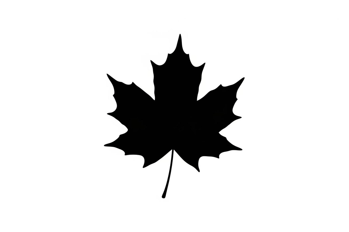 Maple Leaf Silhouette Bundle, a Graphic by musafir_fashion (Photo 2 of 10)