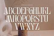 Moshra Aesthetic - Modern Logo Font, a Serif Font by Nirmana Visual (Thumbnail 7 of 10)