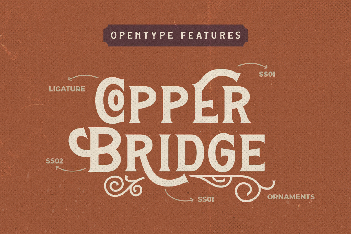 Hamston Display Vintage, a Sans Serif Font by Creatype Studio (Photo 5 of 10)