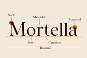 Noctera Modern Editorial Serif Font, a Serif Font by LuhopCreative (Thumbnail 3 of 15)