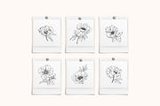 Peonies Vector Illustrations, a Decorative Illustration by Emma Webb Studio (Thumbnail 9 of 9)