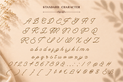 Rainbow Monoline, a Script Font by Umitype (Thumbnail 9 of 12)