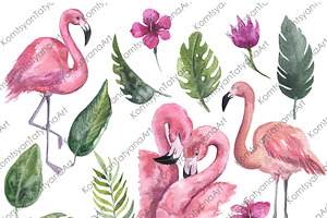 Watercolor Flamingo Clipart. Tropic