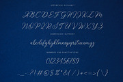 Sabyan // Modern Script Typeface, a Font by Bluestudio (Thumbnail 7 of 11)