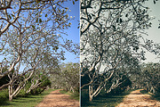 Melancholic movie - Lightroom preset preview 6