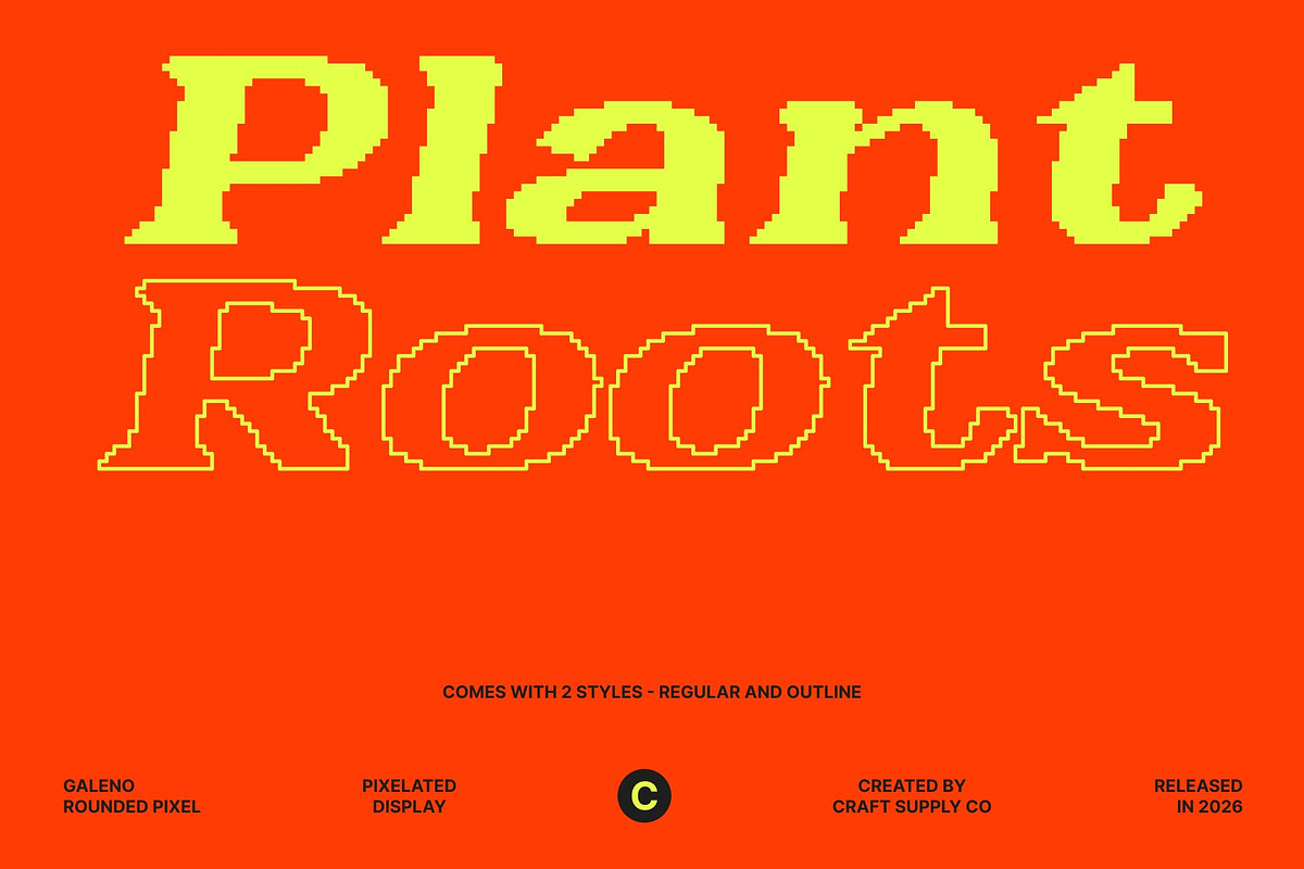 Galeno Rounded Pixel, a Serif Font by Craft Supply Co. (Photo 2 of 8)
