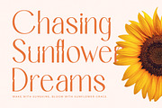Bemgola Modern Display Serif, a Serif Font by timelesstype.co (Thumbnail 14 of 20)