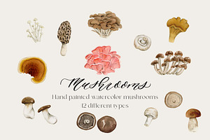 Watercolor Mushroom Graphics