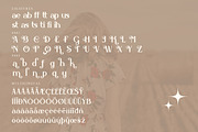 Belisha Modern Serif Font, a Serif Font by Storytype Studio (Thumbnail 13 of 15)