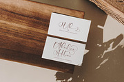 Tamylors Landry Stylish Calligraphy, a Script Font by stylishtype.co (Thumbnail 6 of 20)