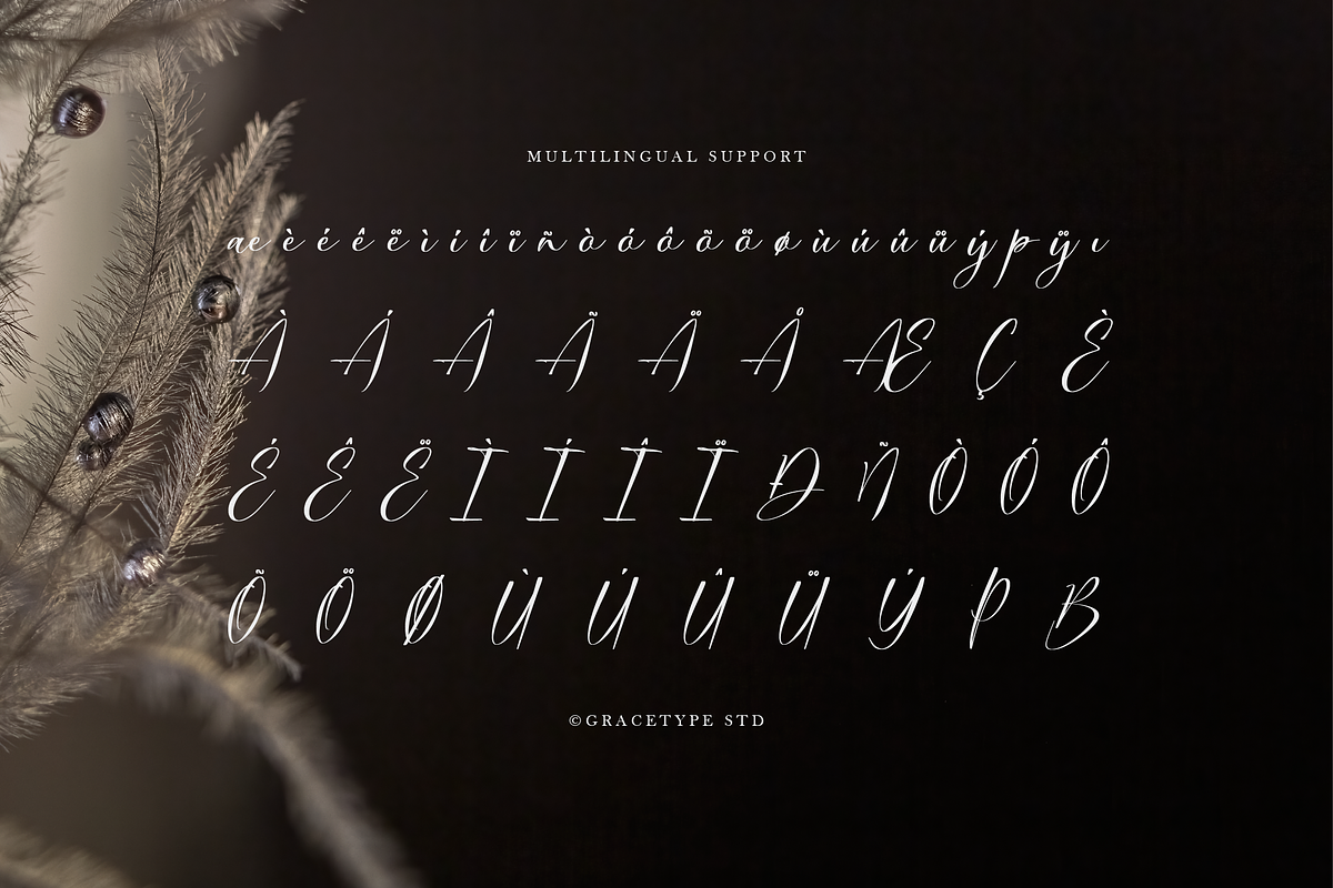 Dialmeray | Elegant Calligraphy Scri, a Script Font by gracetype_studio (Photo 12 of 12)