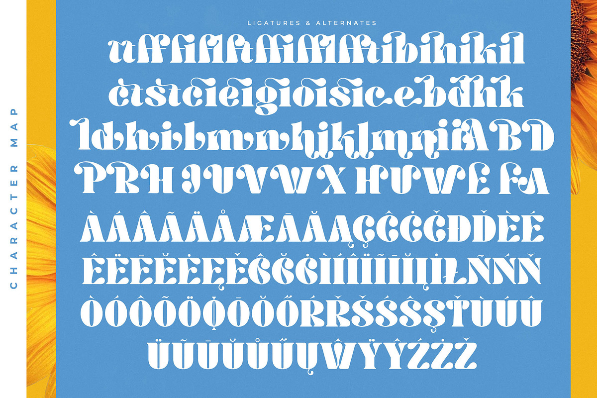 Hostey & Milan Groovy Serif, a Serif Font by timelesstype.co (Photo 19 of 20)