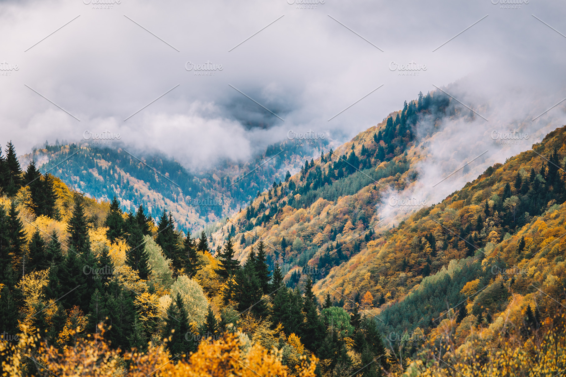 Autumn in the foggy mountain forest featuring forest, autumn, and nature, a Nature Photo by David Khelashvili