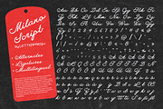 Milano Editorial Vintage, a Script Font by Letter Fresh (Thumbnail 12 of 13)