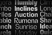 Alerio Sans, a Sans Serif Font by zeenesia (Thumbnail 16 of 17)