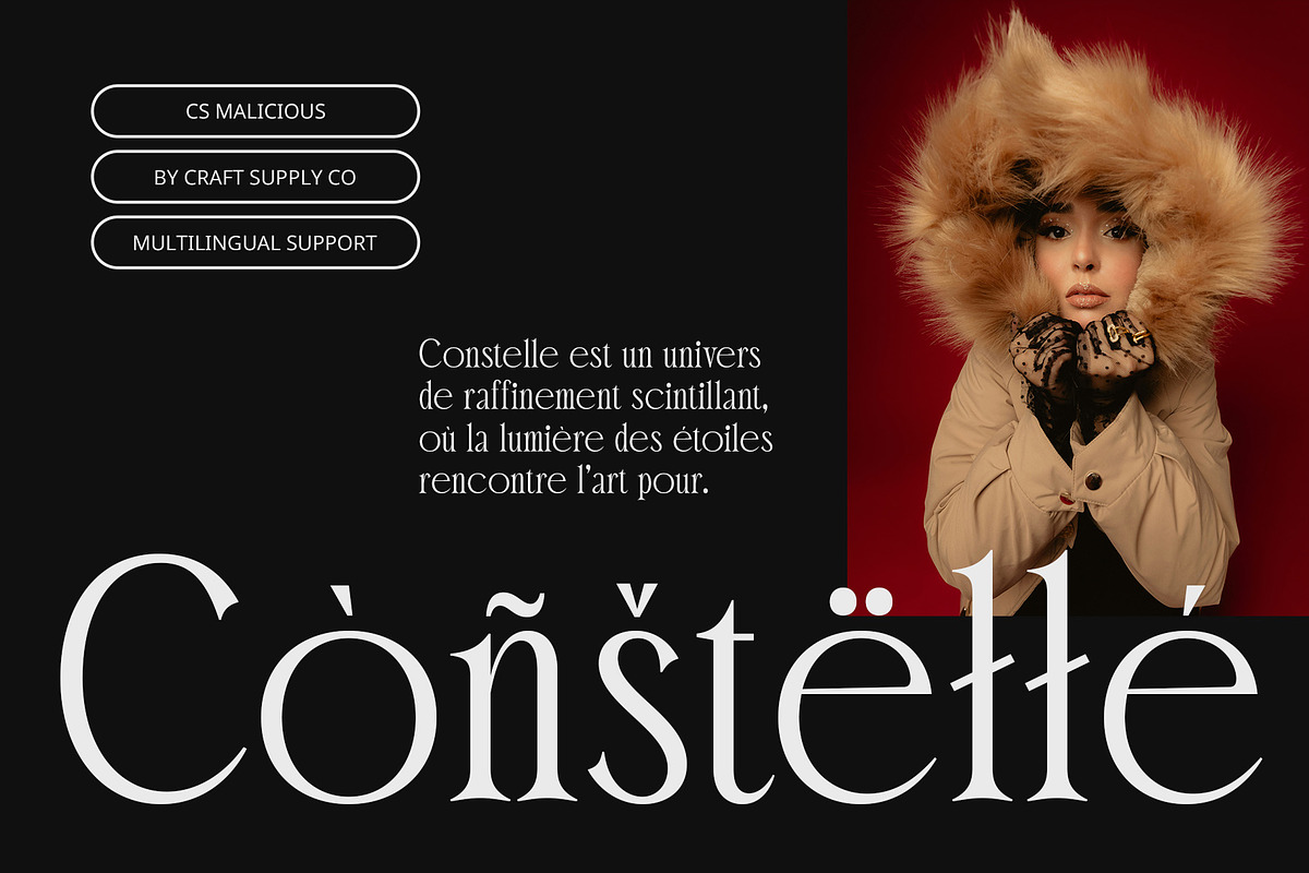 CS Malicious – Elegant Font, a Serif Font by Craft Supply Co. (Photo 7 of 8)