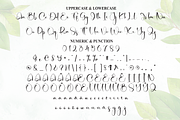 Montbel | Script Font, a Handwritten Font by Scratchones (Thumbnail 7 of 9)