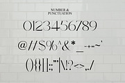 Roylles | Ligature Stylish, a Serif Font by Muntab_Art (Thumbnail 13 of 13)
