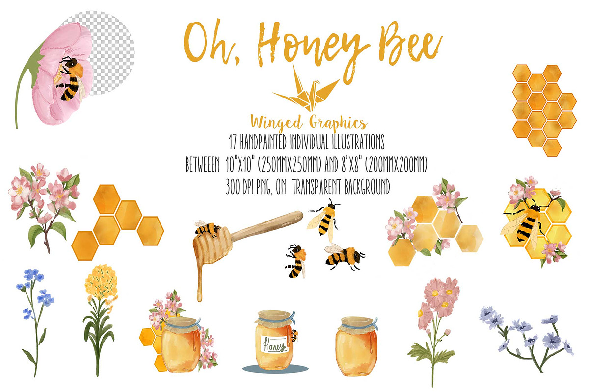 Oh, Honey bee set of 17illustrations, an Animal Illustration by Winged Graphics (Photo 2 of 4)