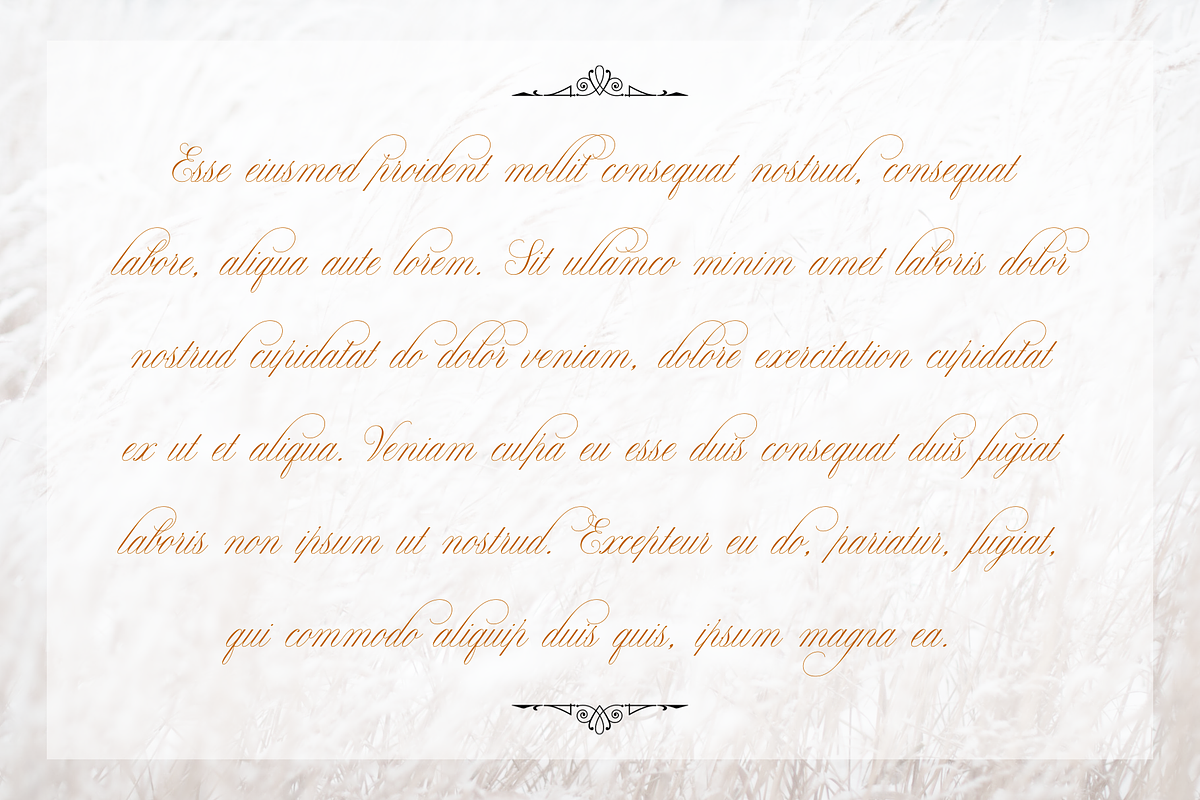 Claudya Script, a Script Font by Sikifonts (Photo 9 of 11)