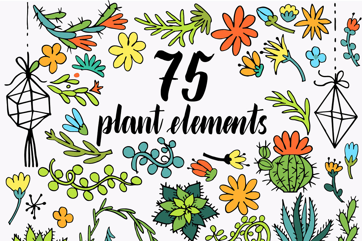 Cacti and succulents design set 140+, an Object Graphic by Live line (Photo 7 of 8)