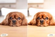 10 Velvet Mocha Lightroom Presets, a Preset Add-On by LucaTheme (Thumbnail 6 of 9)