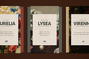 Armonia - Creative Font Duo, a Serif Font by VP Fonts (Thumbnail 2 of 20)