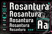 UT Rosantura : A Unique Display Font, a Sans Serif Font by Universitype (Thumbnail 7 of 10)