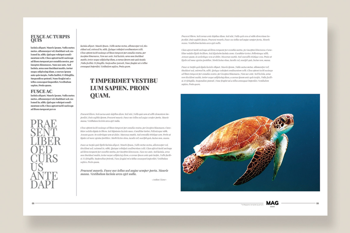 Magazine Template 08, a Magazine Template by pmvch (Photo 12 of 12)