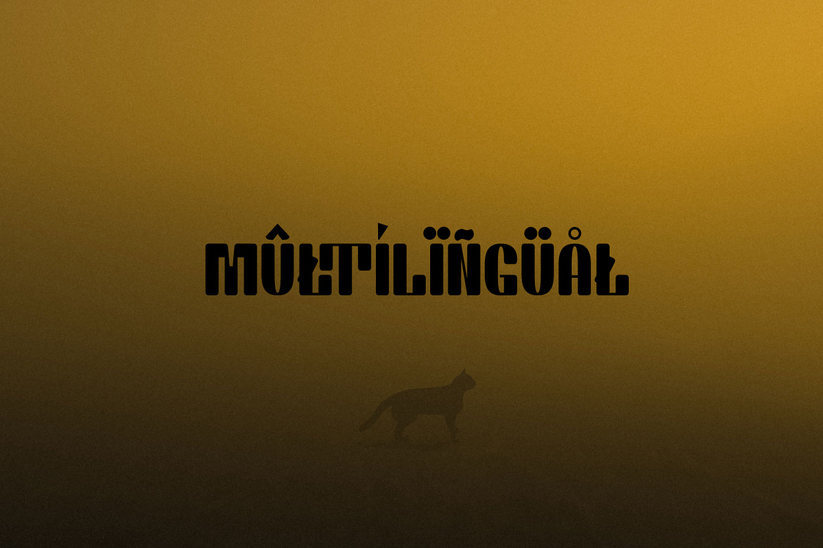 Chiper Type, a Serif Font by Canden Meutuah (Photo 5 of 5)