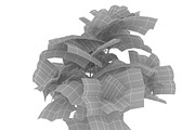 Potato plant, an Environmental 3D Model by AndrewWhite (Thumbnail 3 of 11)