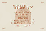 Barjiah Modern Serif Font, a Serif Font by Storytype Studio (Thumbnail 13 of 15)