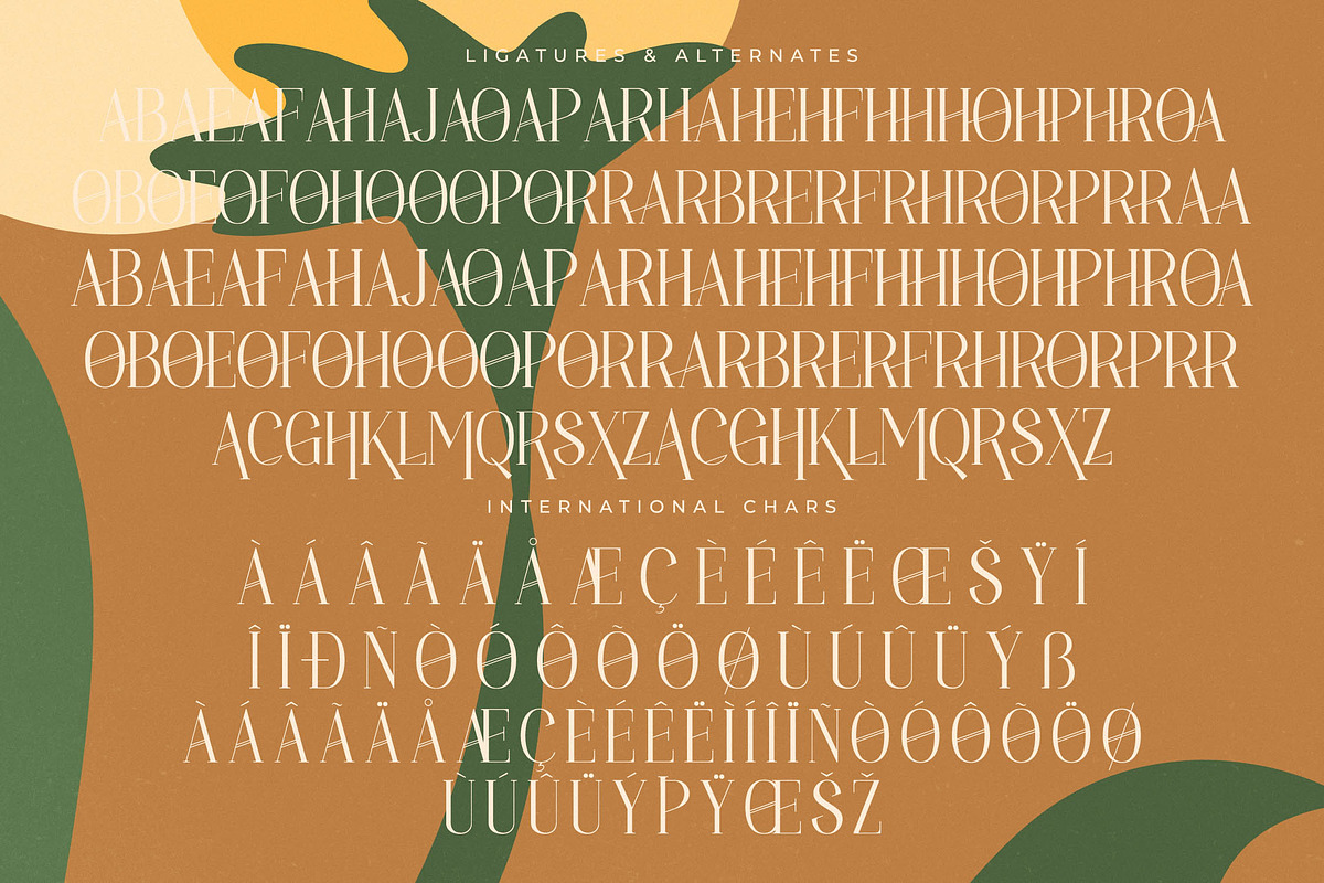Holdmen Paradise Modern Serif, a Serif Font by timelesstype.co (Photo 19 of 20)