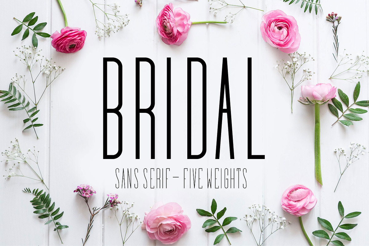 Elegant - Font Collection - 7 Fonts, a Sans Serif Font by CorgiAstronaut (Photo 32 of 41)