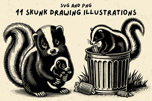 Vintage Skunk Illustration Bundle, an Animal Illustration by Ray Crimson