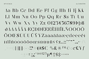 CS Salsa – Elegant Serif Font, a Serif Font by Craft Supply Co. (Thumbnail 8 of 8)
