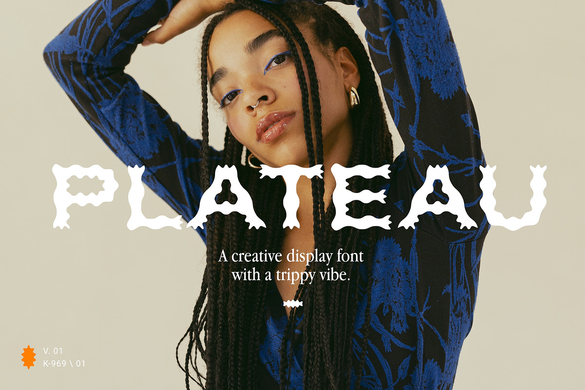 Plateau Font, a Sans Serif Font by Nomad Visuals (Photo 1 of 12)