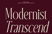 Baige Distort, a Serif Font by Craft Supply Co. (Thumbnail 3 of 8)